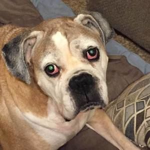 Meet your Posher, Terry